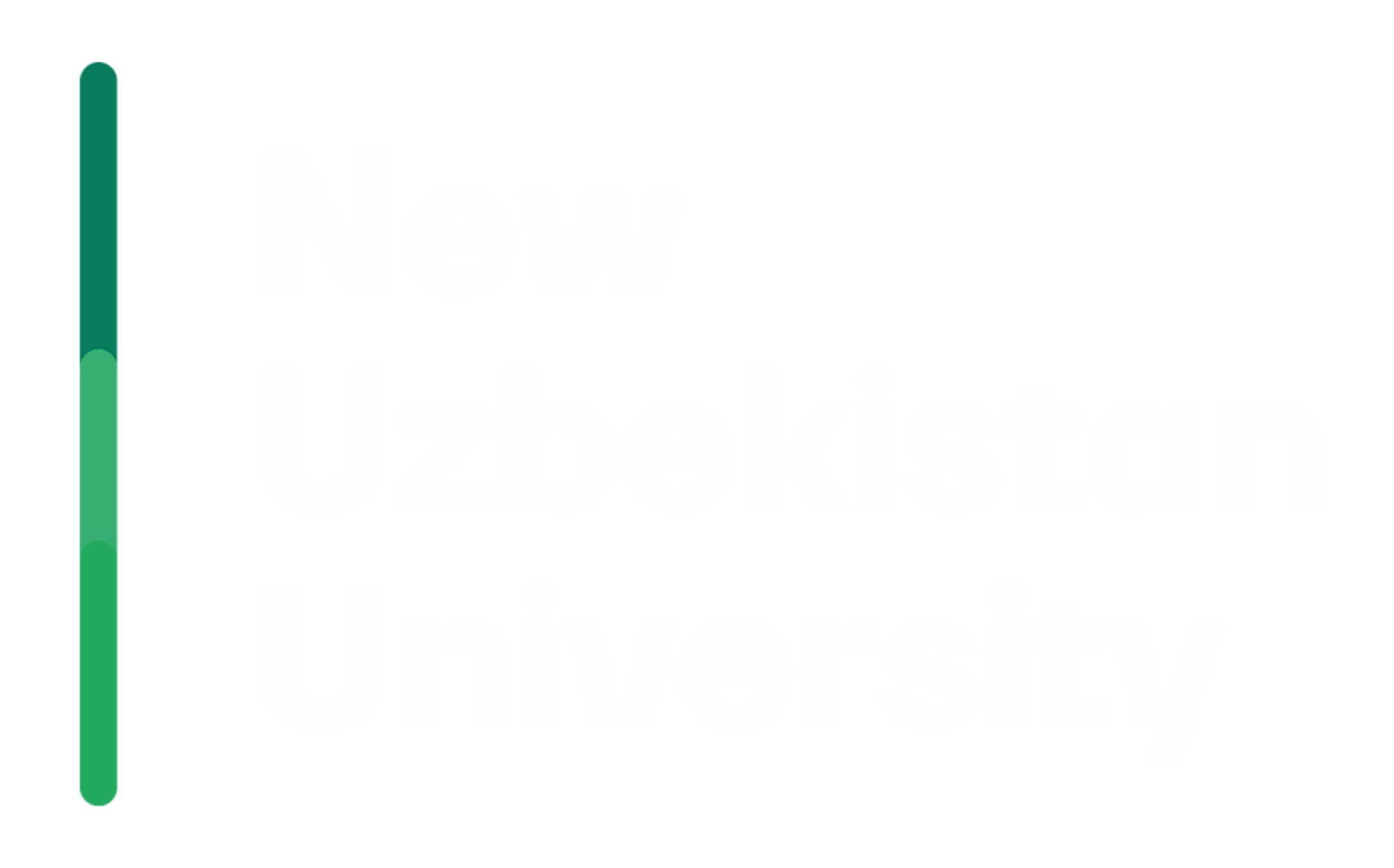 New Uzbekistan University